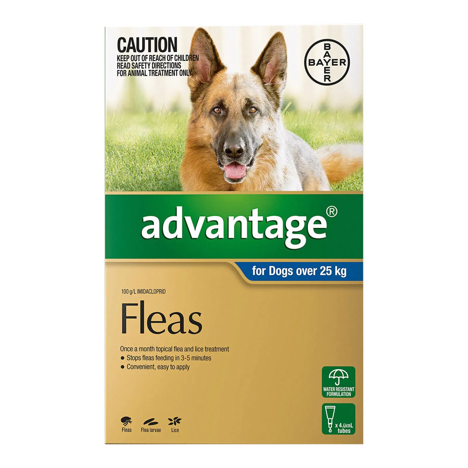 Advantage flea treatment for dogs over 25 kg packaging with a dog on a grassy background at Petservo.