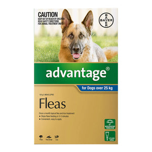 Advantage flea treatment for dogs over 25 kg packaging with a dog on a grassy background at Petservo.
