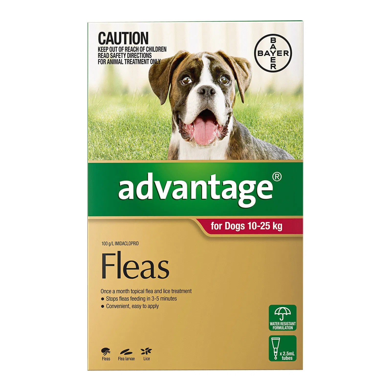 Advantage flea treatment for dogs packaging with a dog on a grassy background at Petservo.