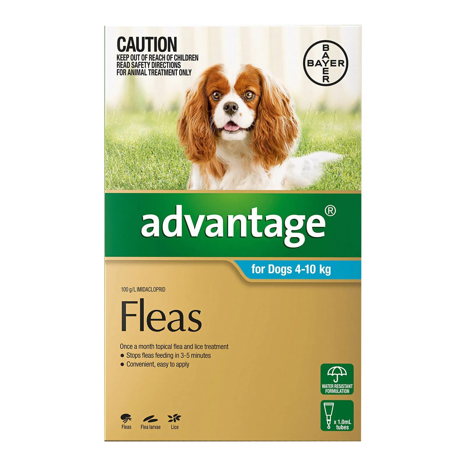 Advantage flea treatment for dogs packaging with a dog on a grassy background at Petservo.