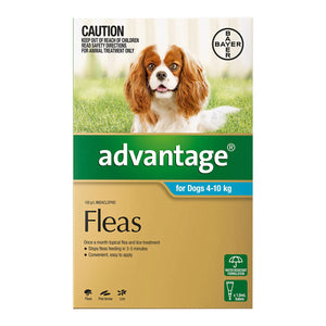 Advantage flea treatment for dogs packaging with a dog on a grassy background at Petservo.