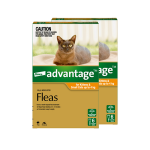 Advantage flea treatment packaging for kittens and small cats with a cat on the box at Pet Servo