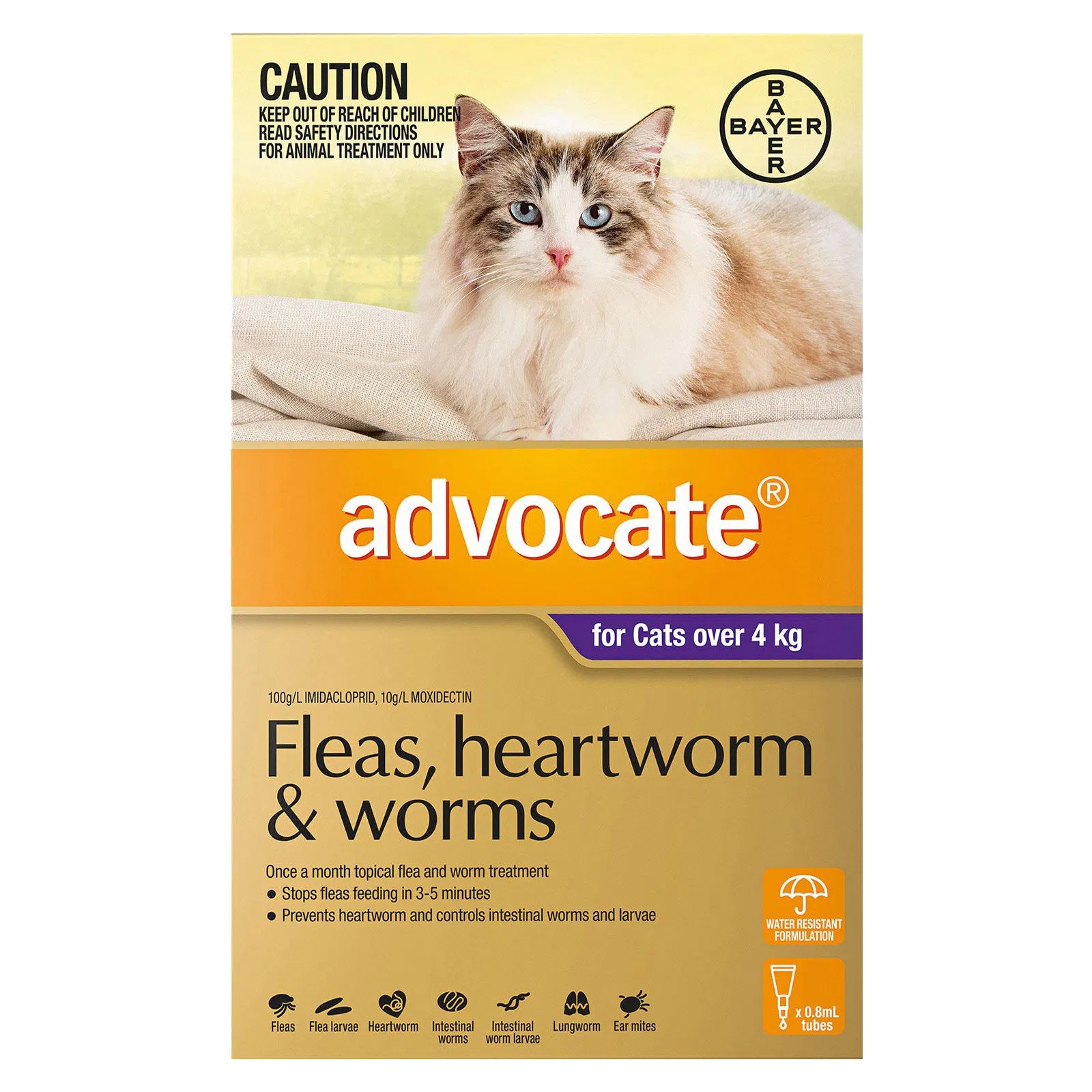 Buy Advocate For Cats Over 4Kg (Purple) at Pet Servo