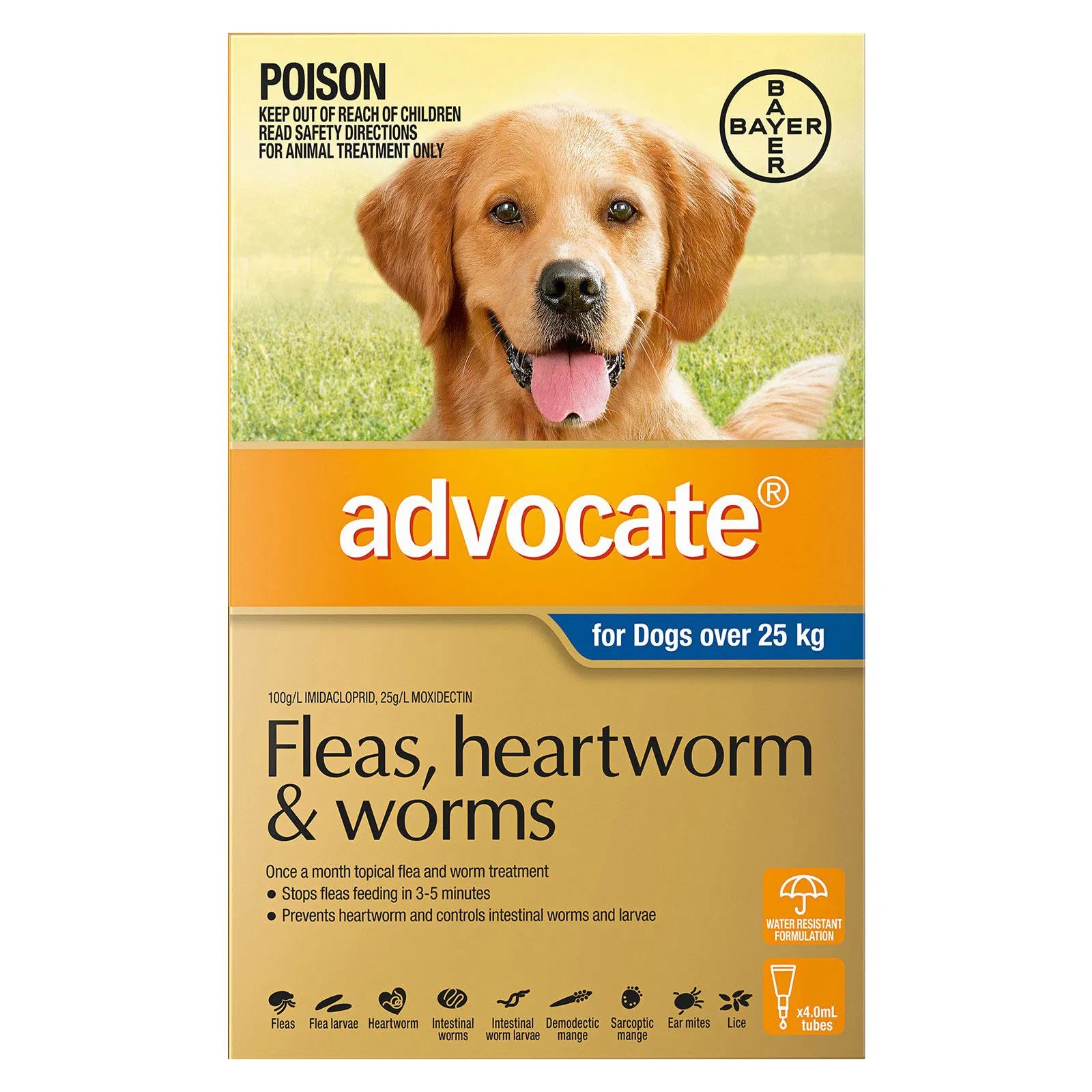 Buy Advocate For Dogs Over 25 Kg (Extra Large Dogs) Blue at Pet Servo