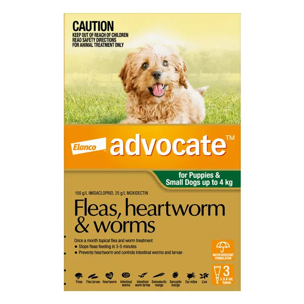 Advocate flea, heartworm, and worm treatment packaging for puppies and small dogs with a dog on the grass at Pet Servo