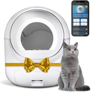 Pet litter box with a gold bow and a smartphone displaying app controls, accompanied by a gray cat at Pet Servo