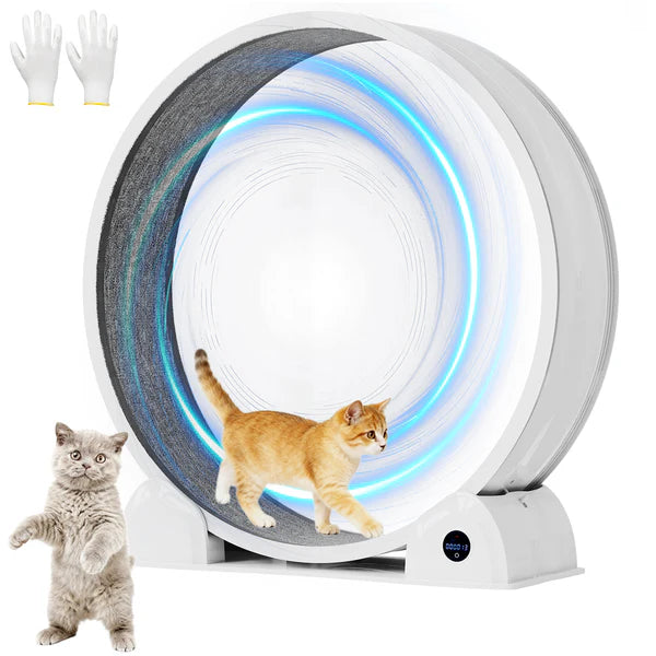 Advwin - Cat Exercise Wheel with Digital Counter Display