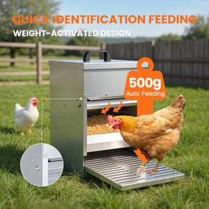 Auto feeding system for chickens with a weight-activated design, shown outdoors.