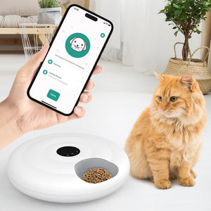 Smart pet feeder with a phone app interface, orange cat, and home setting.