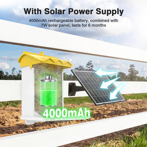 Shop Advwin Smart Bird Feeder with Camera AI Recognition with solar power supply at Pet Servo