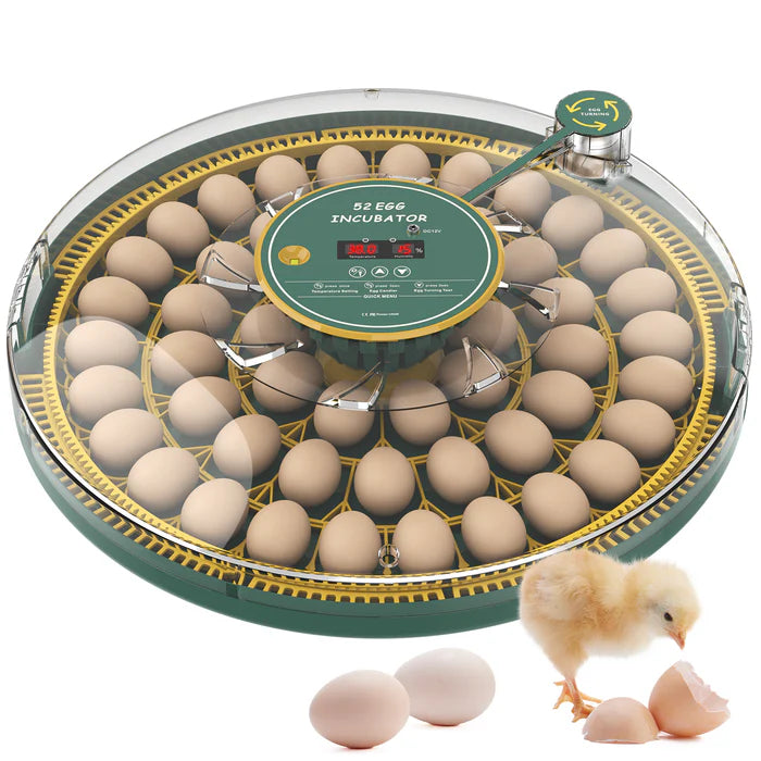 52 egg incubator with eggs and a small chick on a white background at Pet Servo