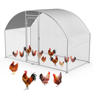 Chicken coop with chickens on a white background at Pet Servo