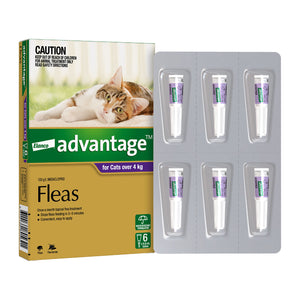 Elanco Advantage flea treatment packaging for cats over 4 kg on a white background at Pet Servo