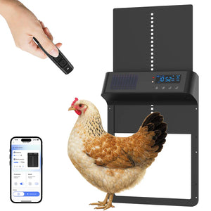 Chicken standing next to a solar-powered chicken coop with a smartphone app on a white background