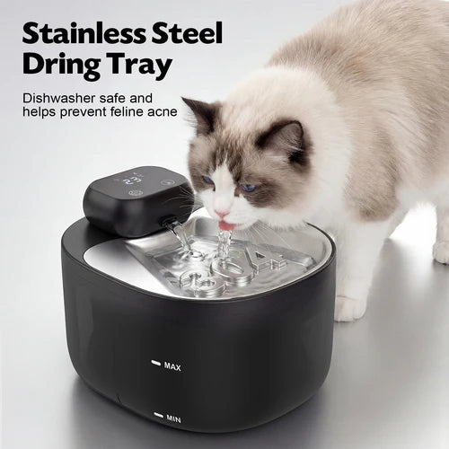 Cat drinking from a black pet fountain with text about a stainless steel draining tray at Pet Servo