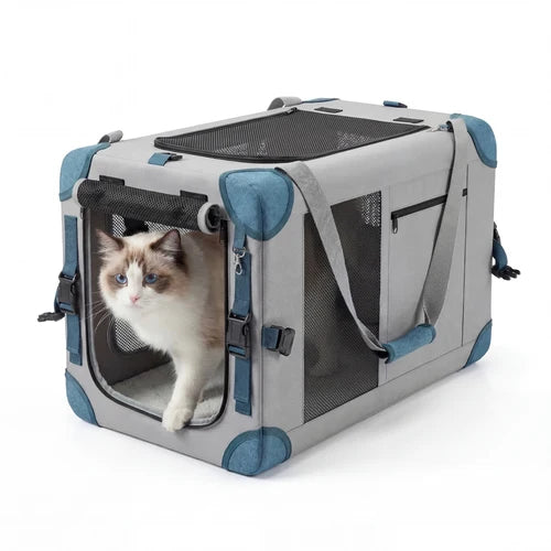 Cat in a gray and blue pet carrier on a white background at Pet Servo