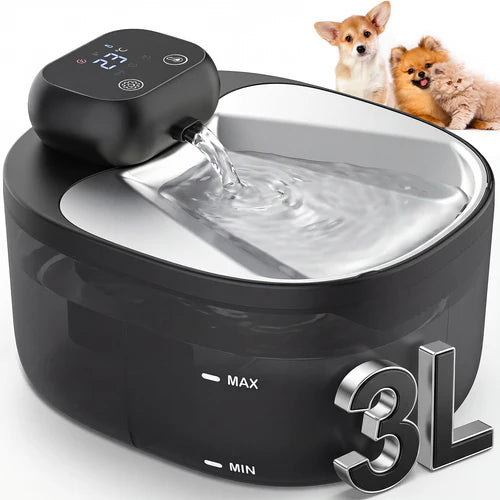 Pet water fountain with digital display and adjustable water level indicator, featuring two small dogs in the background at Pet Servo