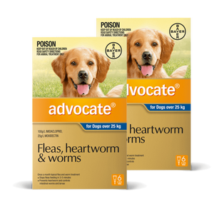 Two boxes of Advocate for dogs over 25 kg on a white background at Pet Servo