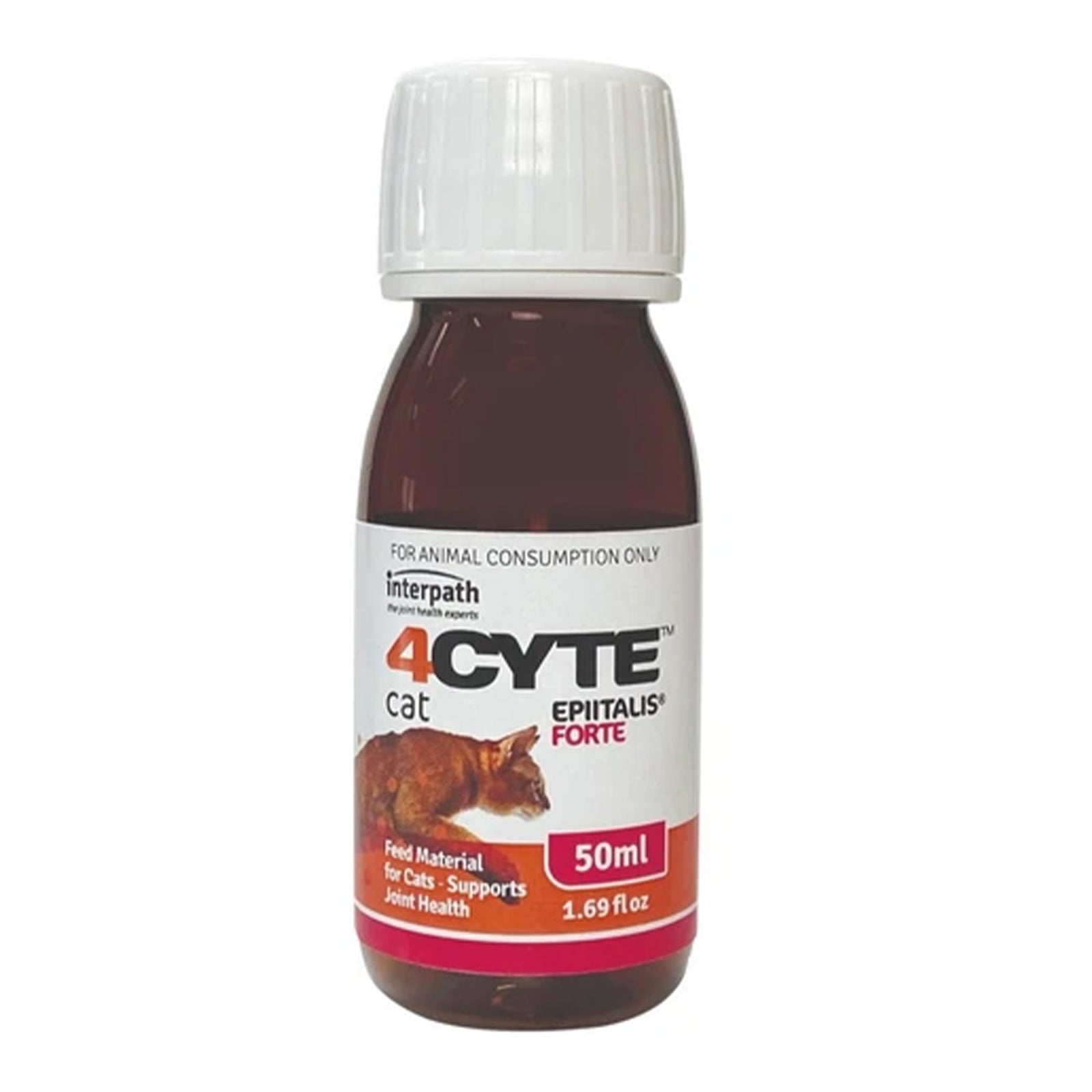 Bottle of 4CYTE Epitalus Forte 50 ml for cats on a white background at Pet Servo