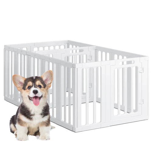 Puppy sitting next to a white playpen on a white background at Pet Servo