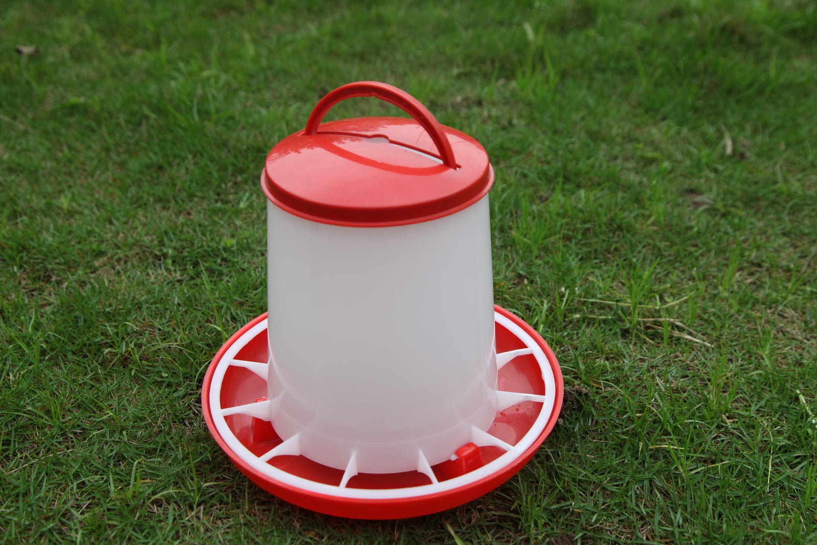 Red and white plastic feeder on grass at Pet Servo