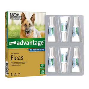 Elanco Advantage flea treatment packaging for dogs over 25 kg on a white background at Petservo.
