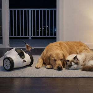 Dog and cat lying on a rug with a robot toy and feather toy nearby at Pet Servo