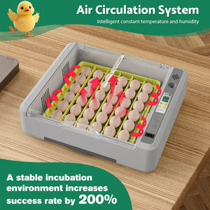 Incubator with eggs on a wooden surface, featuring text about air circulation system and egg success rate.