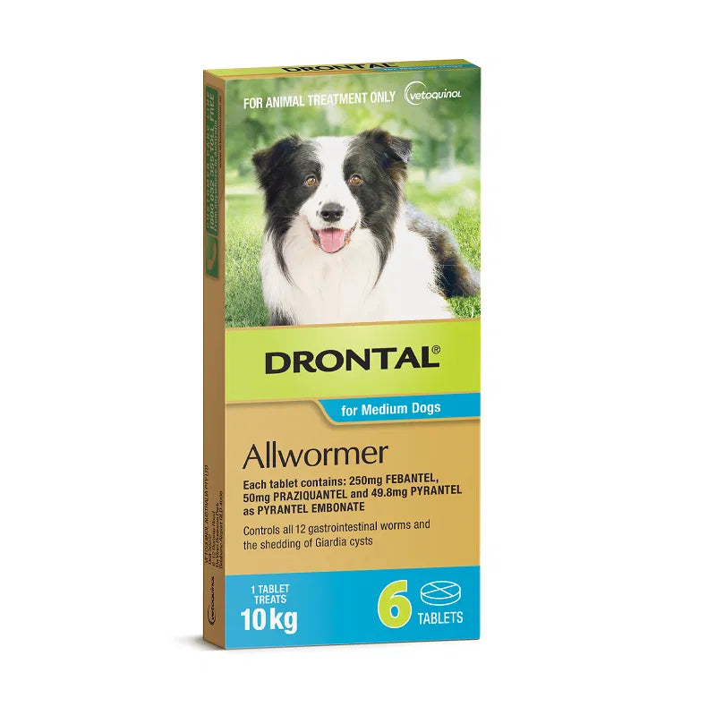 Drontal allwormer packaging for medium dogs with a dog on the label.