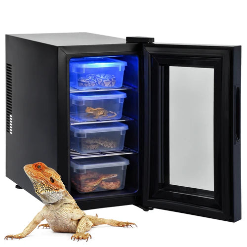 Small black refrigerator with open door showing blue light and containers, with a lizard in front at Pet Servo