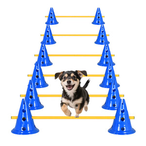 Dog standing on a yellow agility course with blue cones on a white background