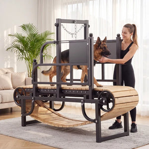 A large dog agility course or dog exercise platform with a wooden ramp and black metal frame, shown in a bright living room with a woman guiding a German Shepherd dog along the structure at Pet Servo