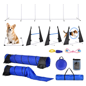 Dog agility training equipment set including tunnels, poles, and cones on a white background.