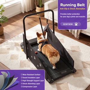Dog using a treadmill with text about its features in a home setting at Pet Servo