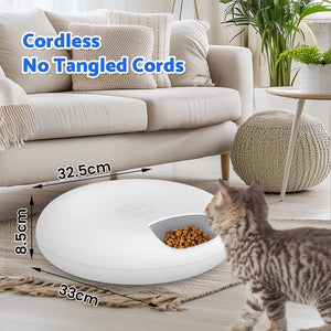 Cat food dispenser on a rug with a cat looking at it, surrounded by a cozy living room.