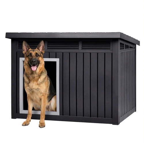 Dog standing in a black doghouse on a white background at Pet Servo