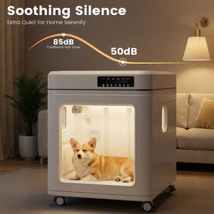 Dog in a quiet room with a noise level comparison to a traditional hair dryer, featuring a modern pet enclosure at Pet Servo