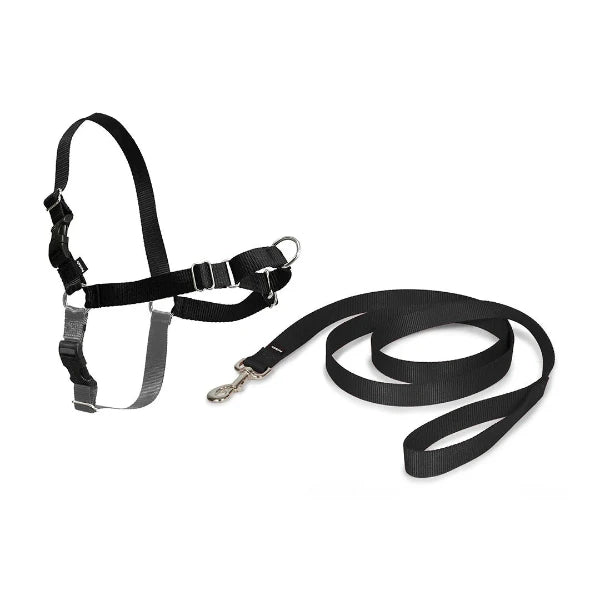 PetSafe - Easy Walk® Harness, No Pull Dog Harness - petservo