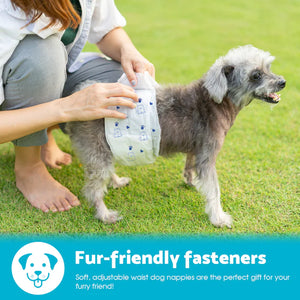 Dog wearing a diaper with a person adjusting it on grass, promoting 'Fur-friendly fasteners' product.