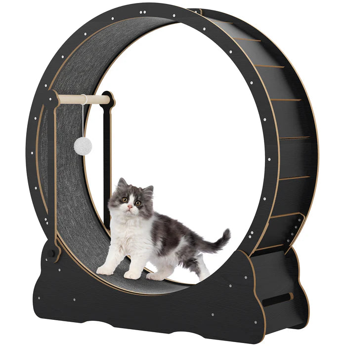 Advwin - 2 in 1 Cat Exercise Wheel with Teaser 90cm