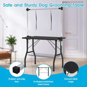 Dog grooming table with safety features highlighted in a room setting