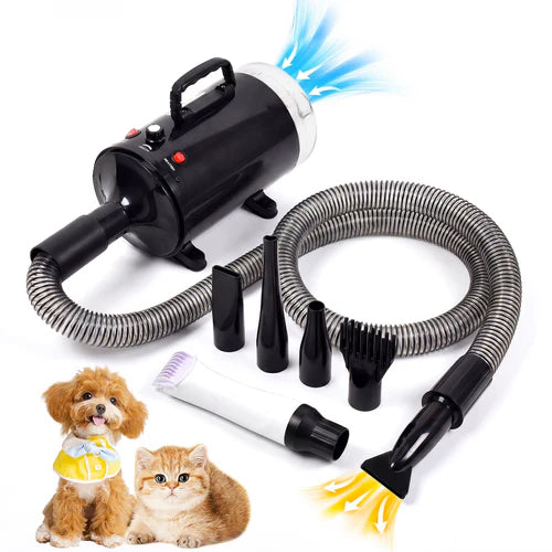 Pet grooming dryer with attachments and two small dogs sitting next to it on a white background at Pet Servo
