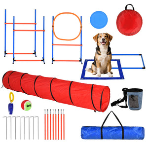 Dog agility training equipment set with a dog sitting on a mat.