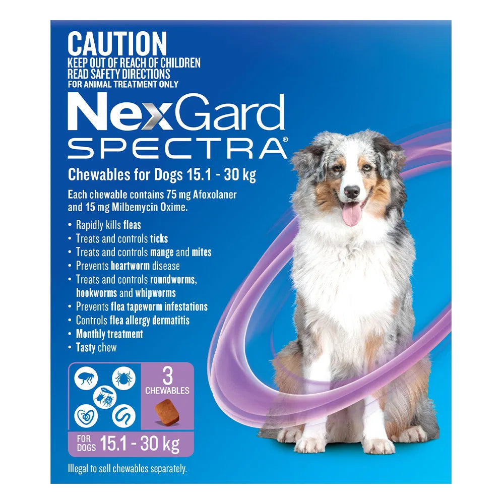Buy Nexgard Spectra Large Dogs (15.1 - 30kg) Purple at Pet Servo