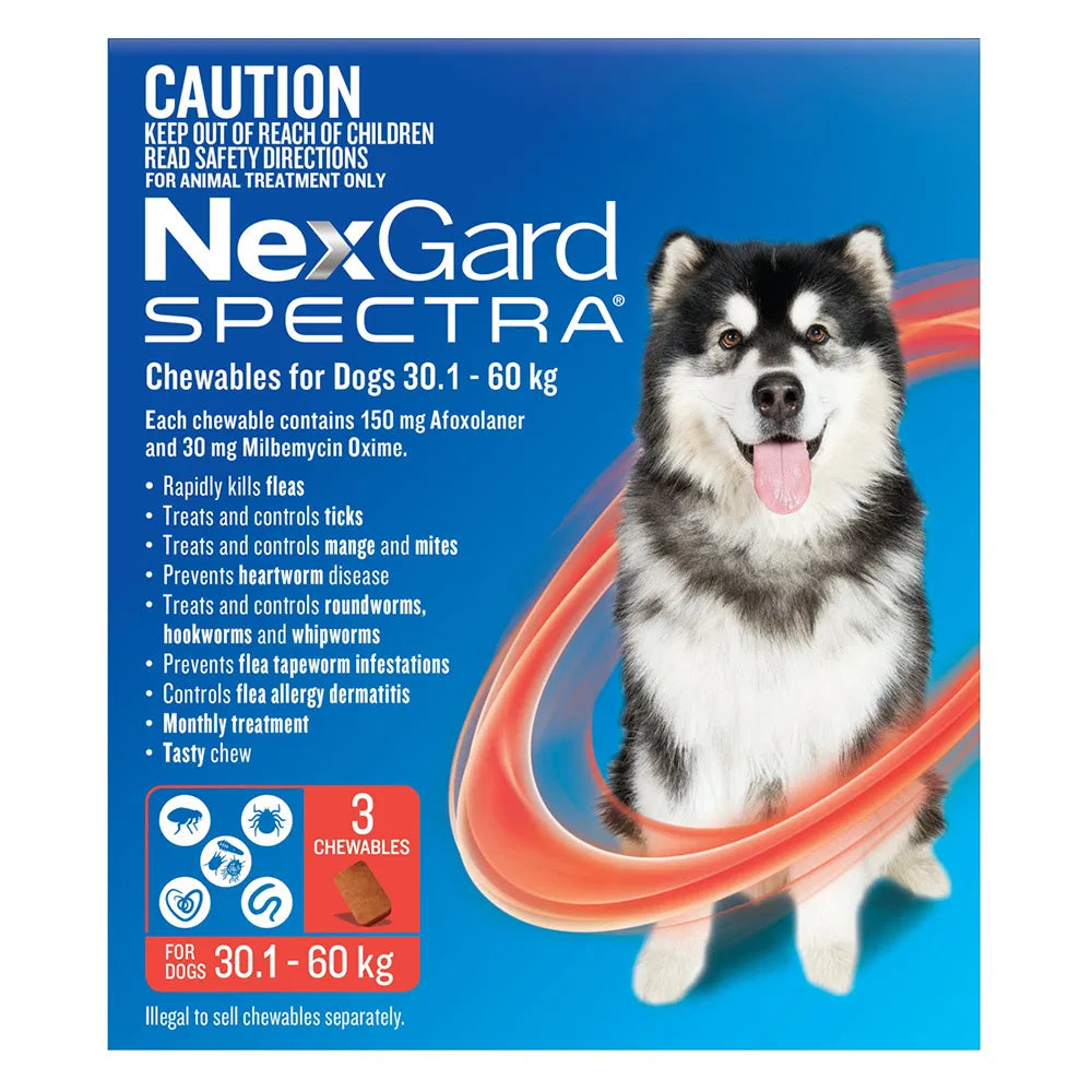 Buy Nexgard Spectra Extra Large Dogs (30.1 - 60kg) Red at Pet Servo
