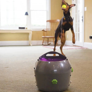 Petsafe - Automatic Ball Launcher Dog Toy - petservo