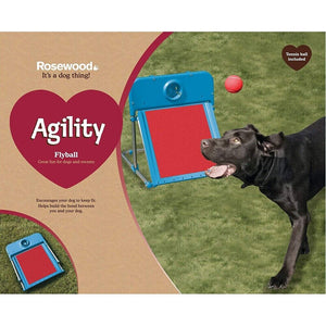Rosewood - Dog Agility Flyball Equipment Training