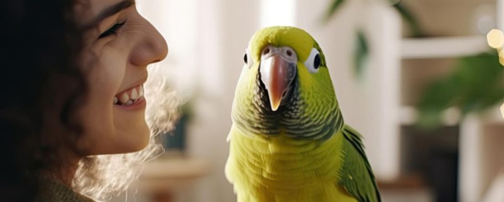 How Long Will Your Parrot Live? Lifespan of Common Pet Parrots