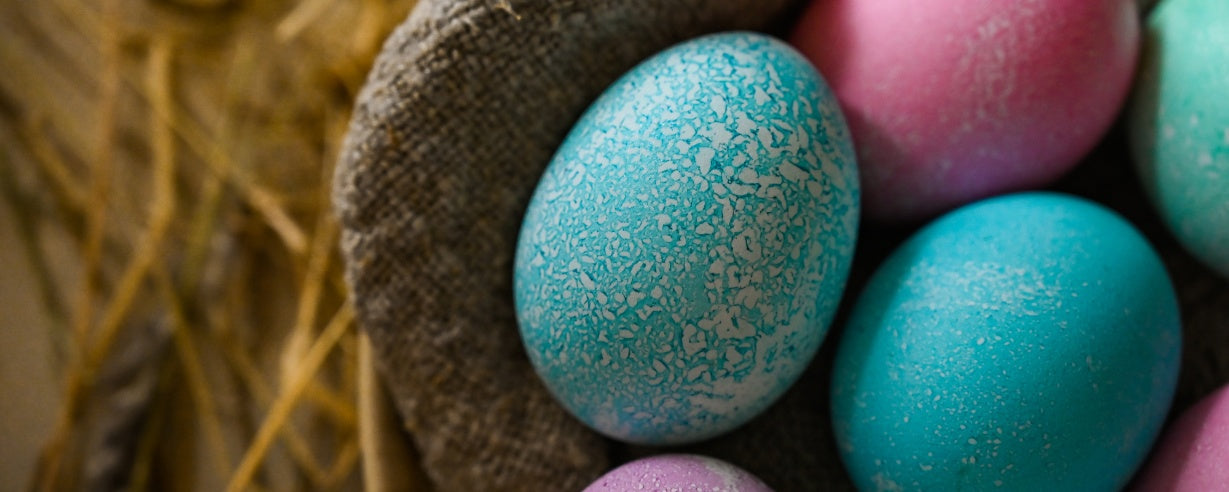 Egg Colors Decoded: Chicken Breeds and Their Unique Egg Hues