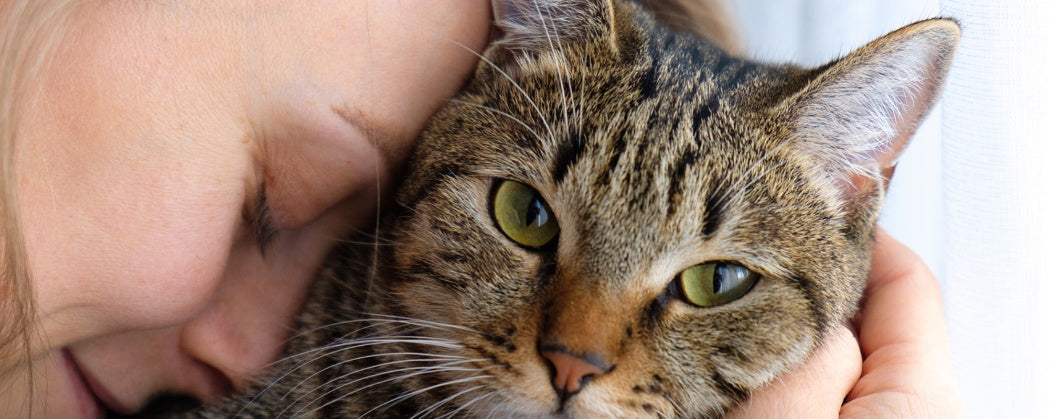 Final Goodbyes: Creating Peaceful Memories with Your Beloved Cat